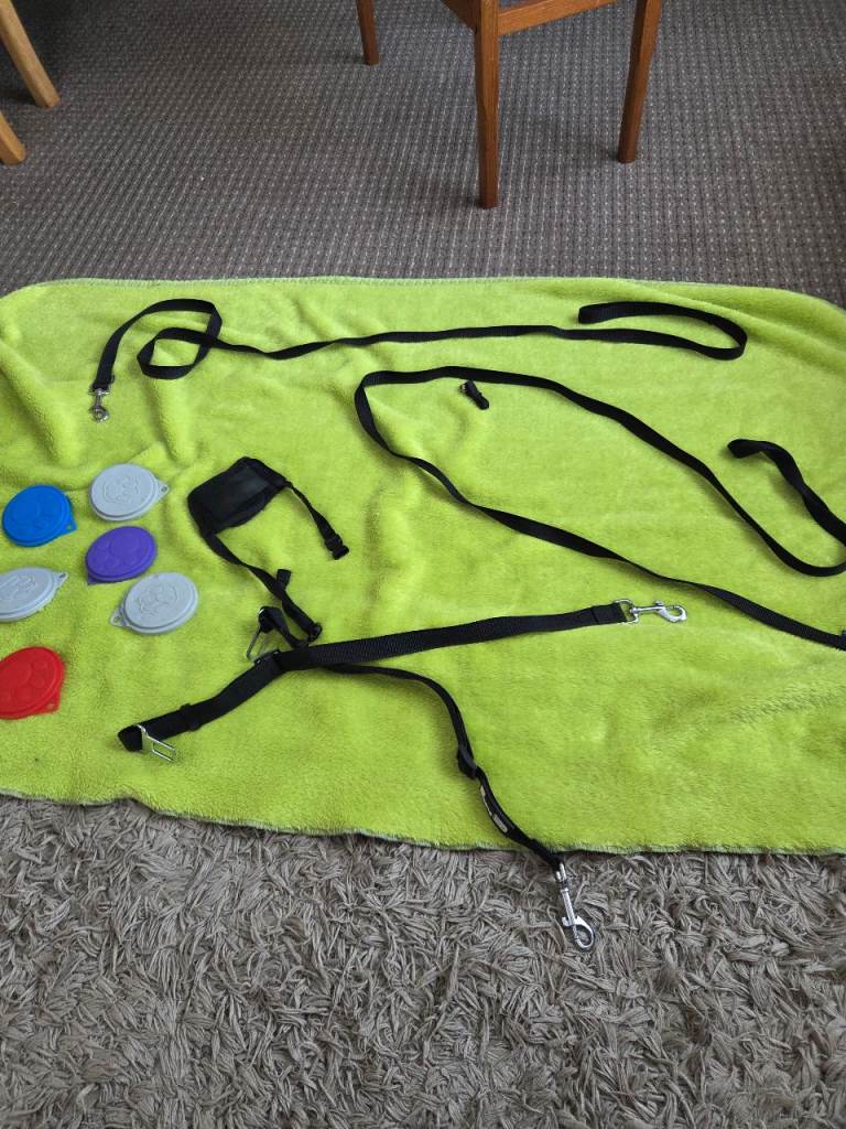 Dog Bundle Items