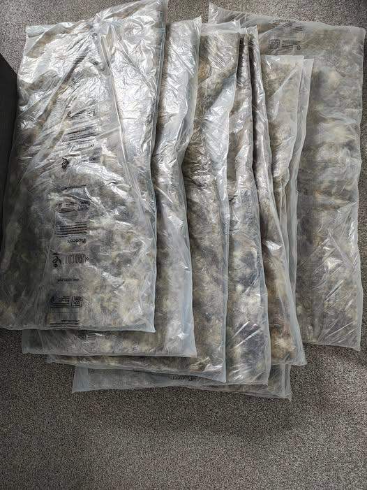 Wool Cool  Eco repackaging insulation x 8 each measuring 35 x 16 inches