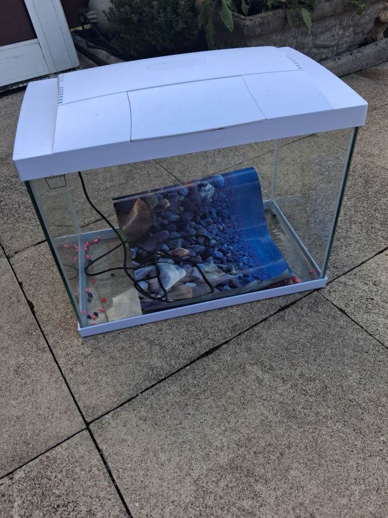 Fish tank with lid