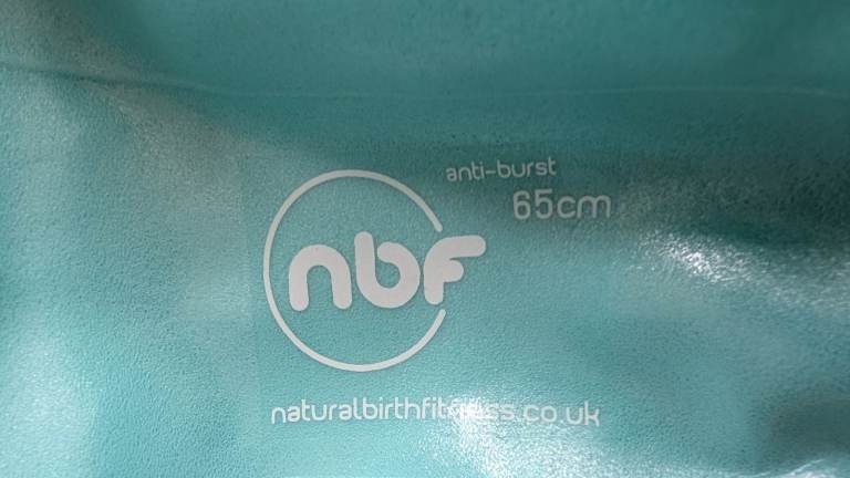 NBF Anti-Burst 65cm Pregnancy Exercise Ball with Pump