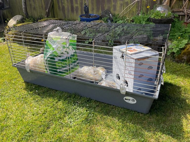 Large Indoor Hamster / Guinea Pig Ferplast Cage / Hutch Several Extras. Can Delivering 