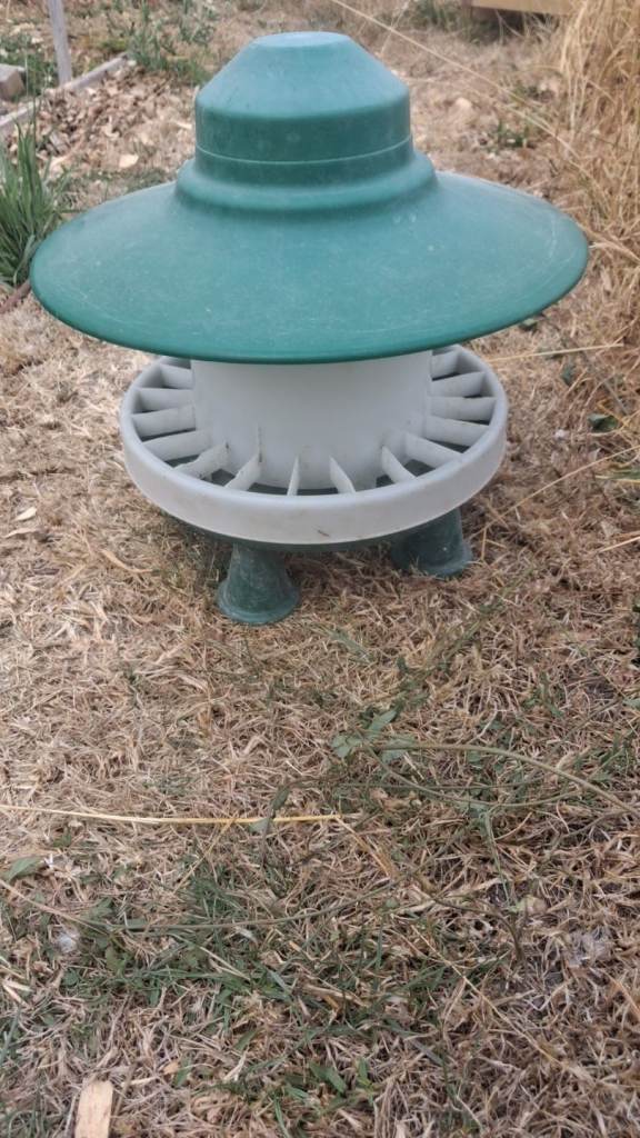 Chicken feeder