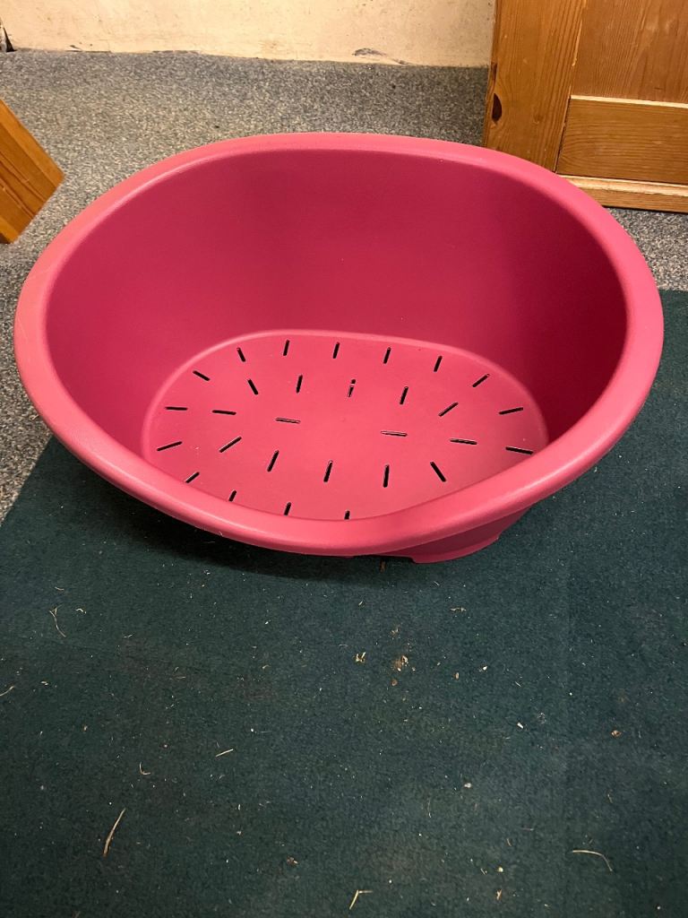 Dog beds FREE