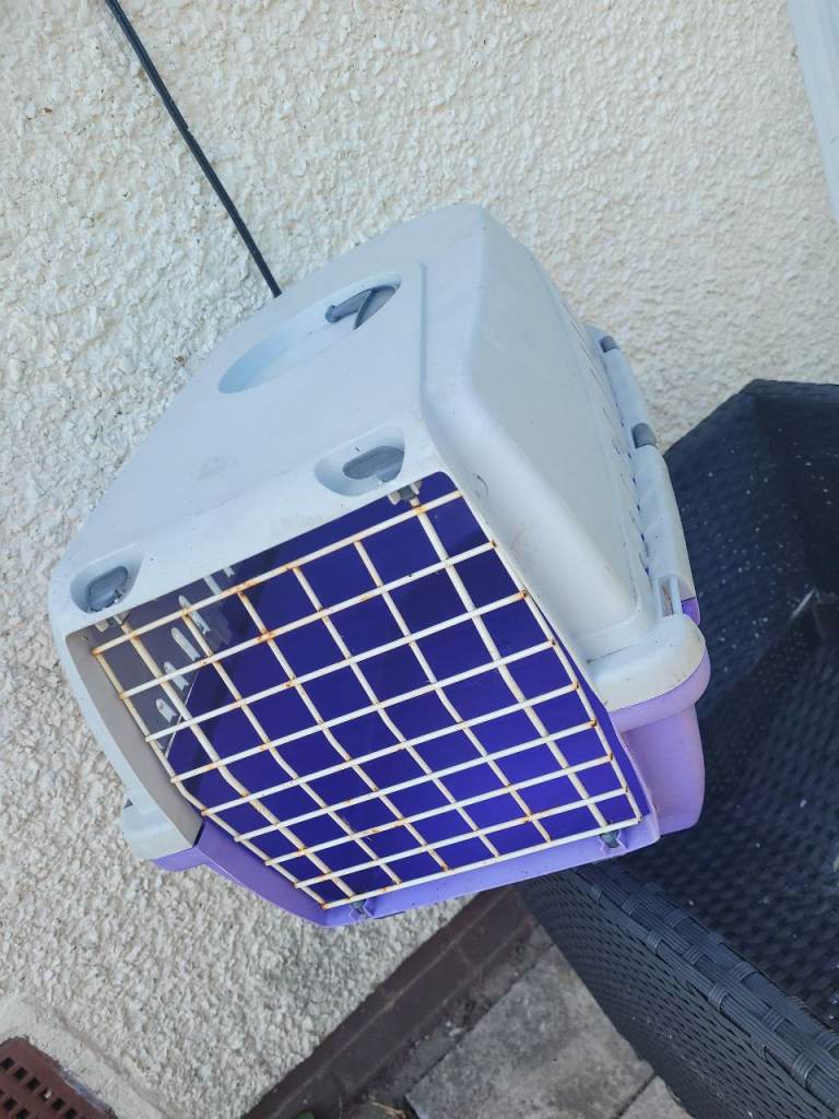 Cat carriee travel box