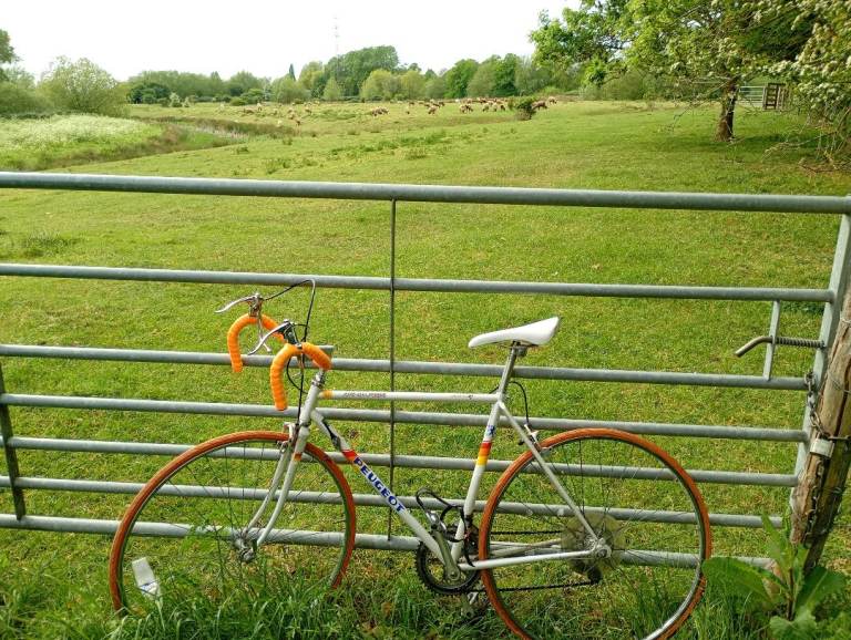 Peugeot Road Bike - White, Good Condition