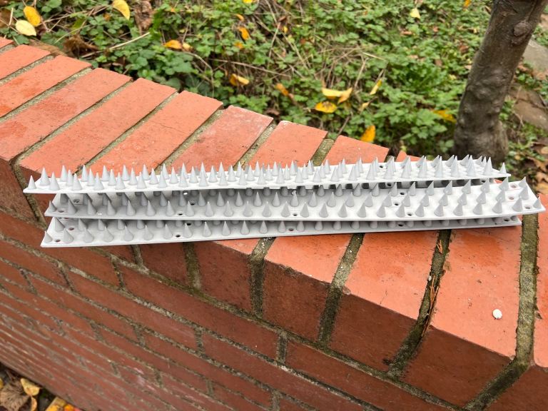 Pigeon spikes (approx 12m)