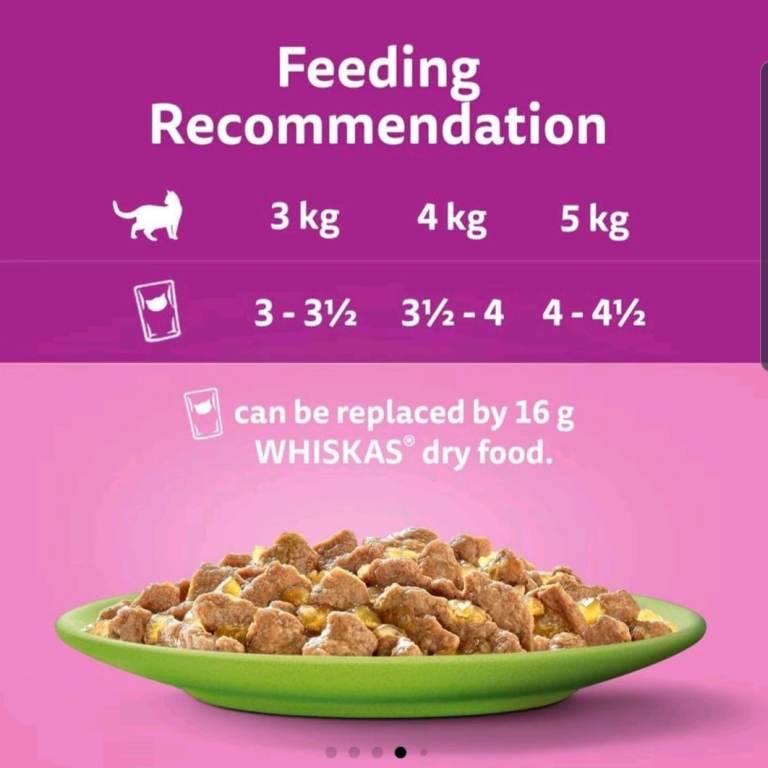 84 85g Whiskas Pouches 