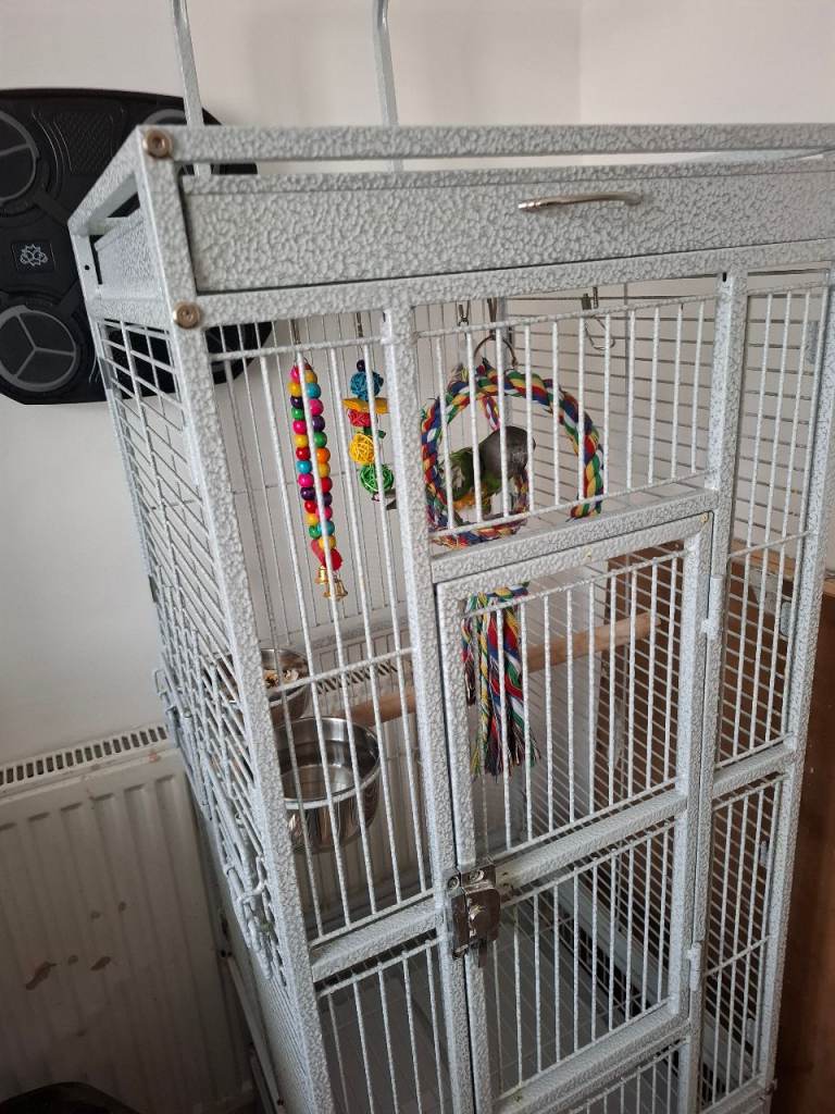 Tall bird cages on wheels