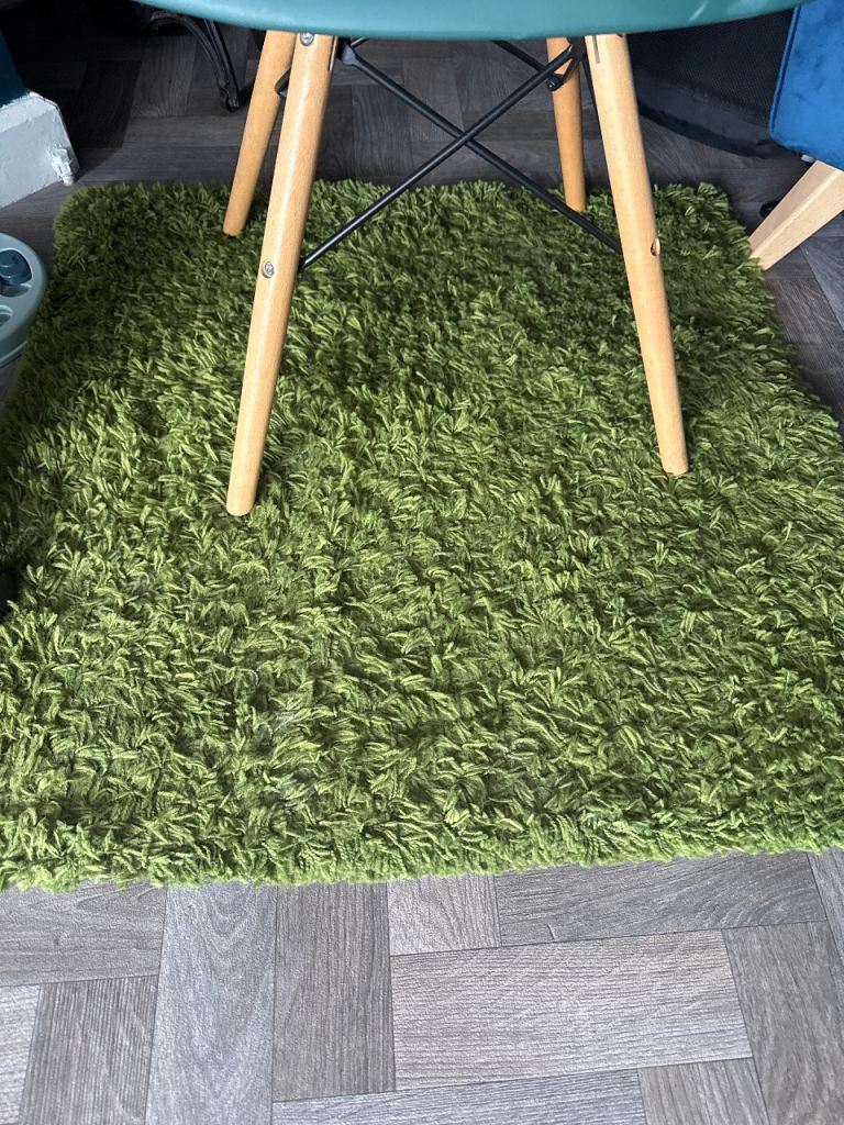 Free ikea shaggy green rug 
