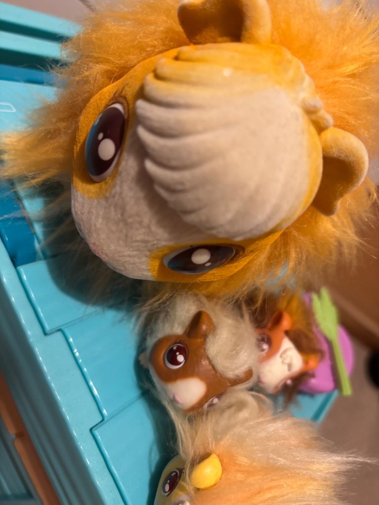 Mama surprise guinea pig 