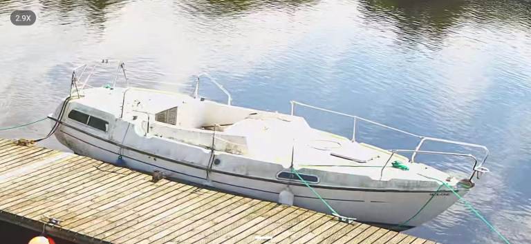 Tamar 24