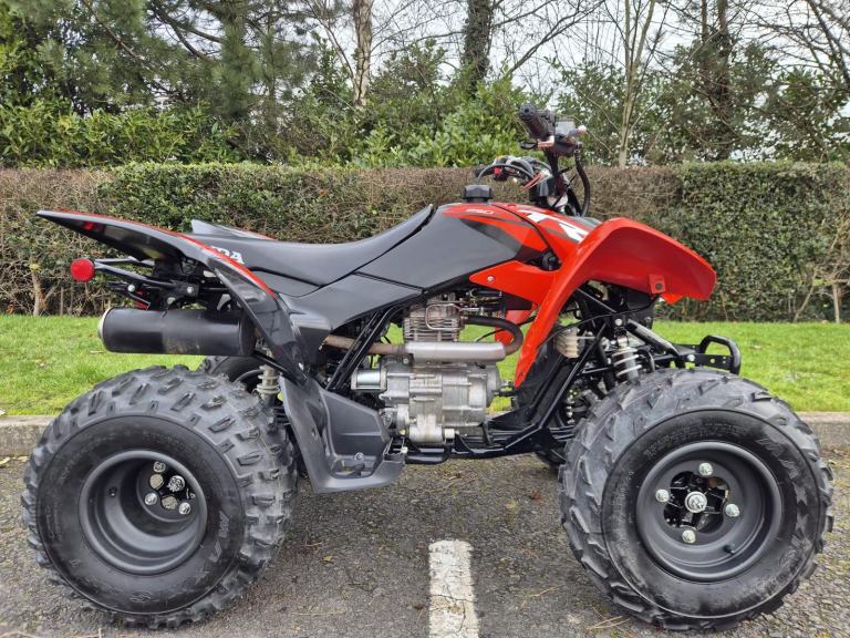Honda TRX250X Sportrax ATV Quad Bike - 2024 - Excellent Condition