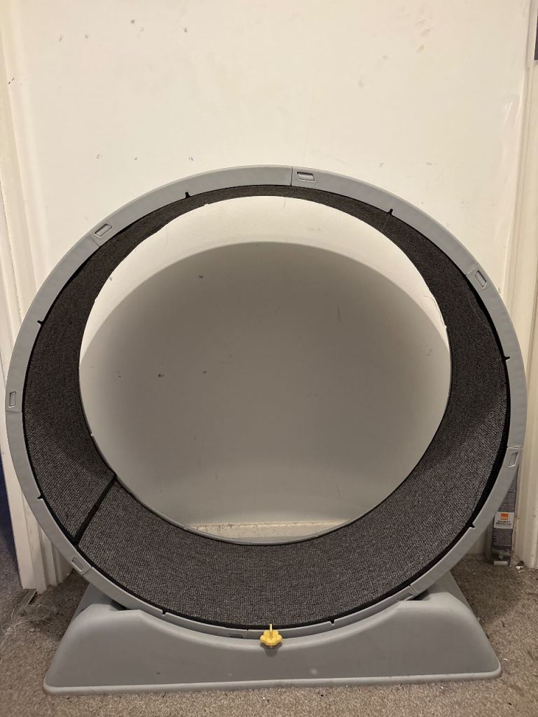 Cat treadmill