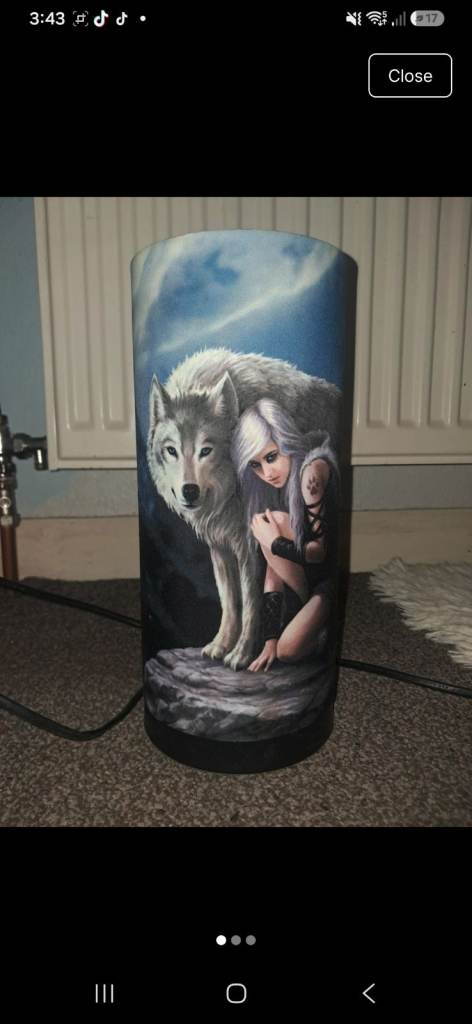 Decorative Wolf & Girl Table Lamp – Good Condition