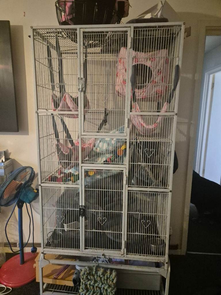 Bird/rodent cage