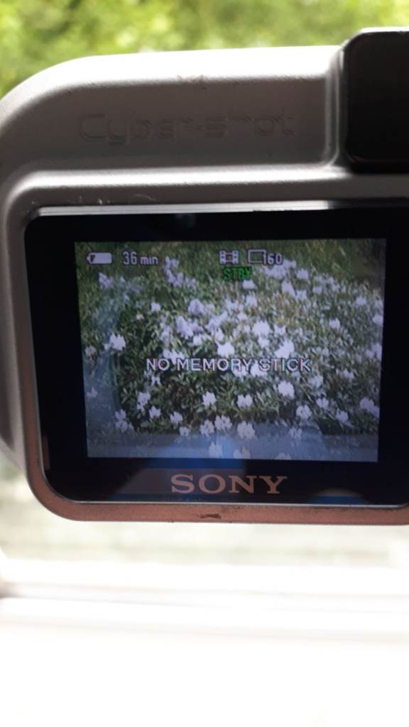 Sony Cyber-shot DSC-P9