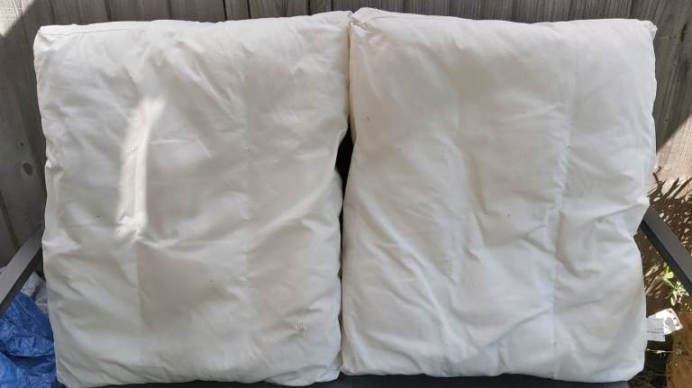 Futon Company sofa bed cushion pads