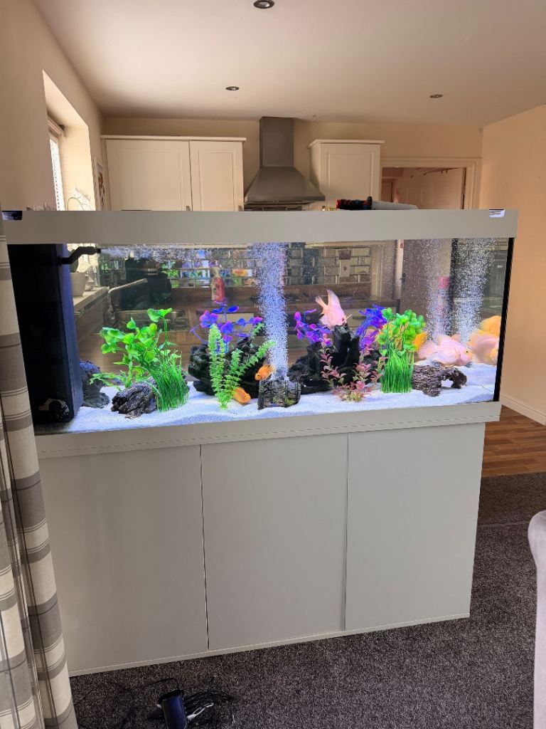 Rio 450l tropical fish tank with fish and white cabinet