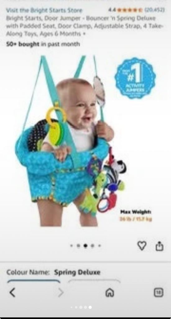 Bright Stars Door Jumper - Brand New