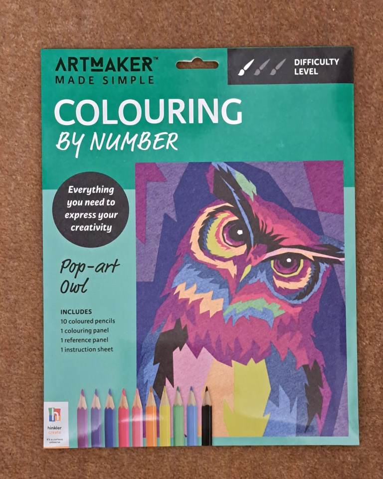 Pop art owl colouring by numbers
