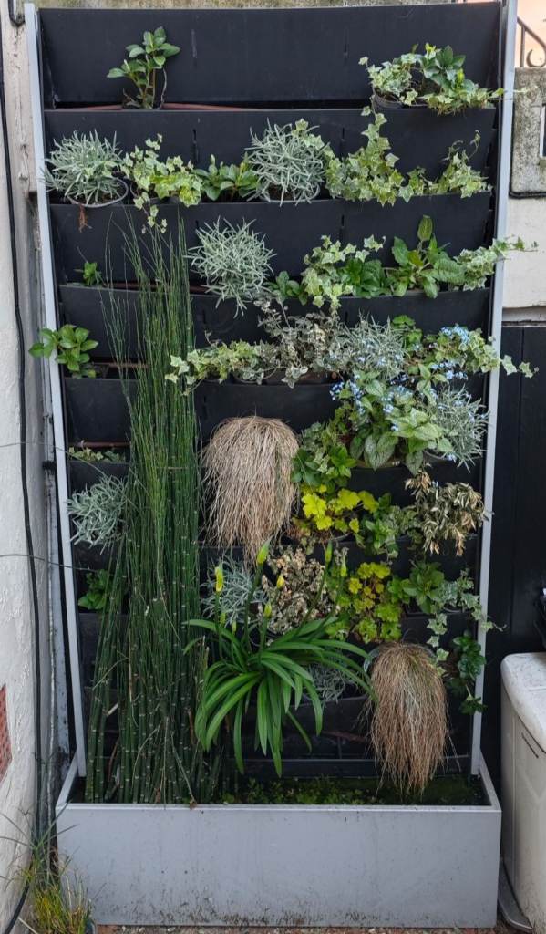 VERTICAL GARDEN Self Watering Vertical Pocket Garden Wall, Vertical Living Green Wall Planter