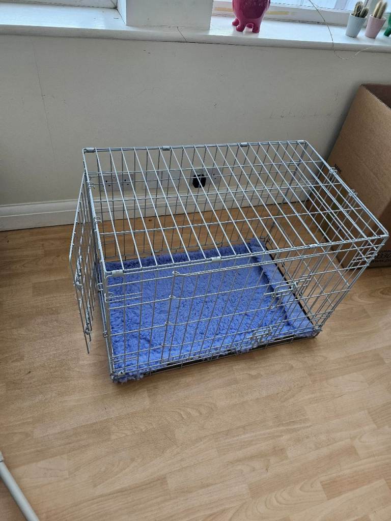 Collapsible dog crate