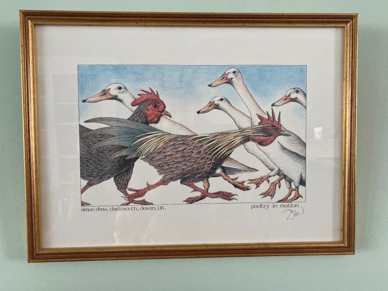 “POULTRY IN MOTION” SIGNED CHICKEN PRINT  PICTURE BY SIMON DREW IN GLAZED FRAME