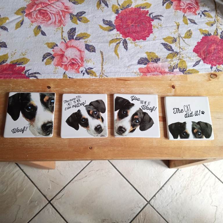 Jack Russell Terrier's dog face ceramic coasters padded 