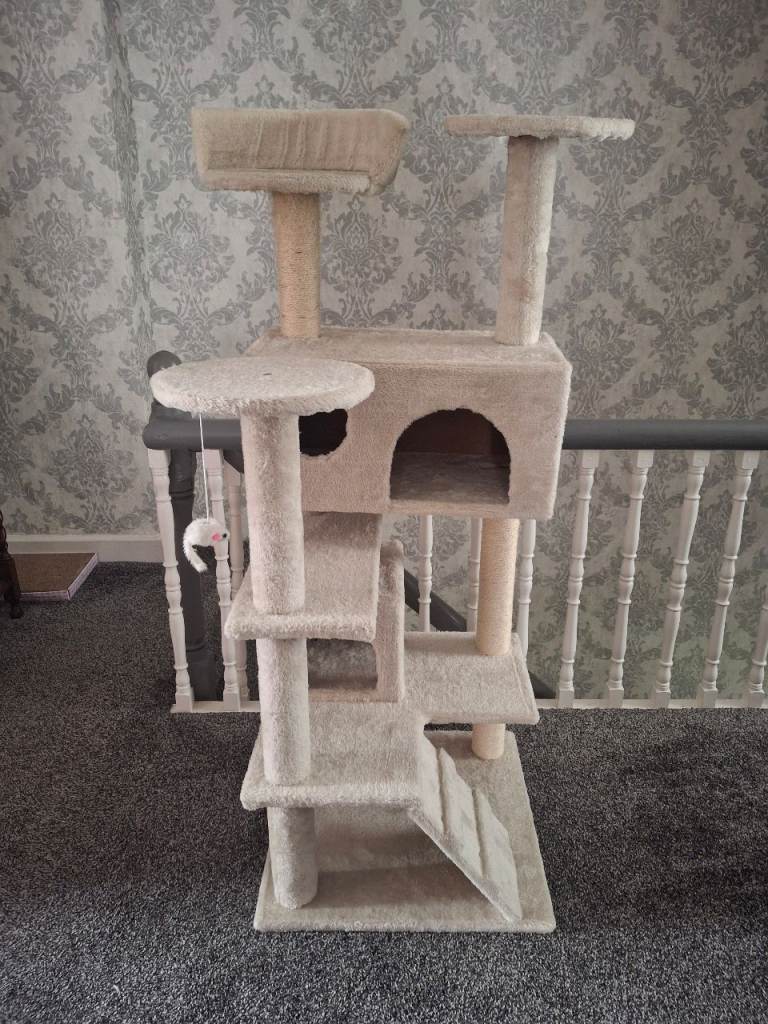 Cat climbing frame