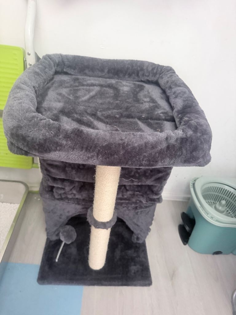 Cat scratch / bed 