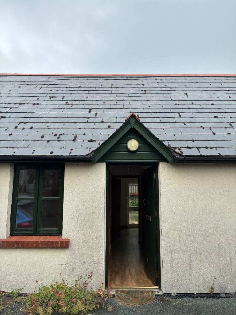 2 bed Bungalow 