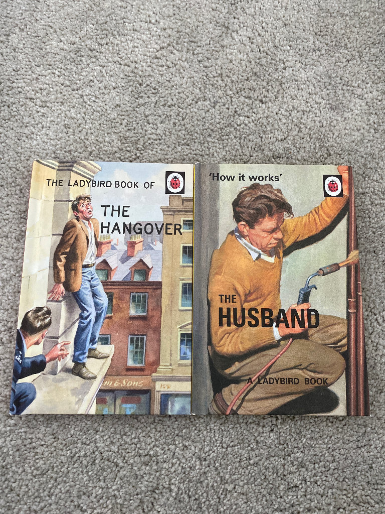 Lady Bird Books - The Husband & The Hangover