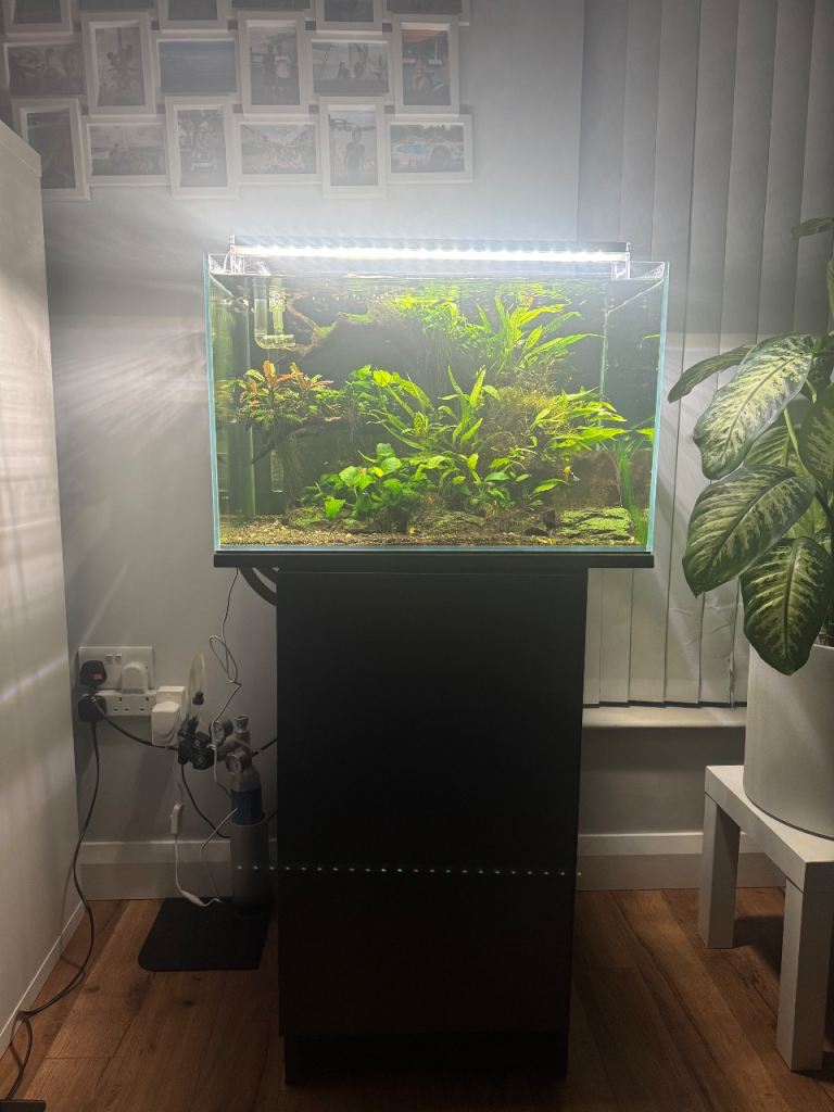 Opti white fish tank