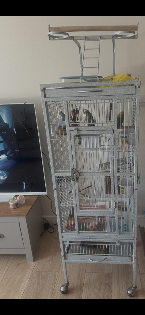 2 breeding pairs of budgies with cage 