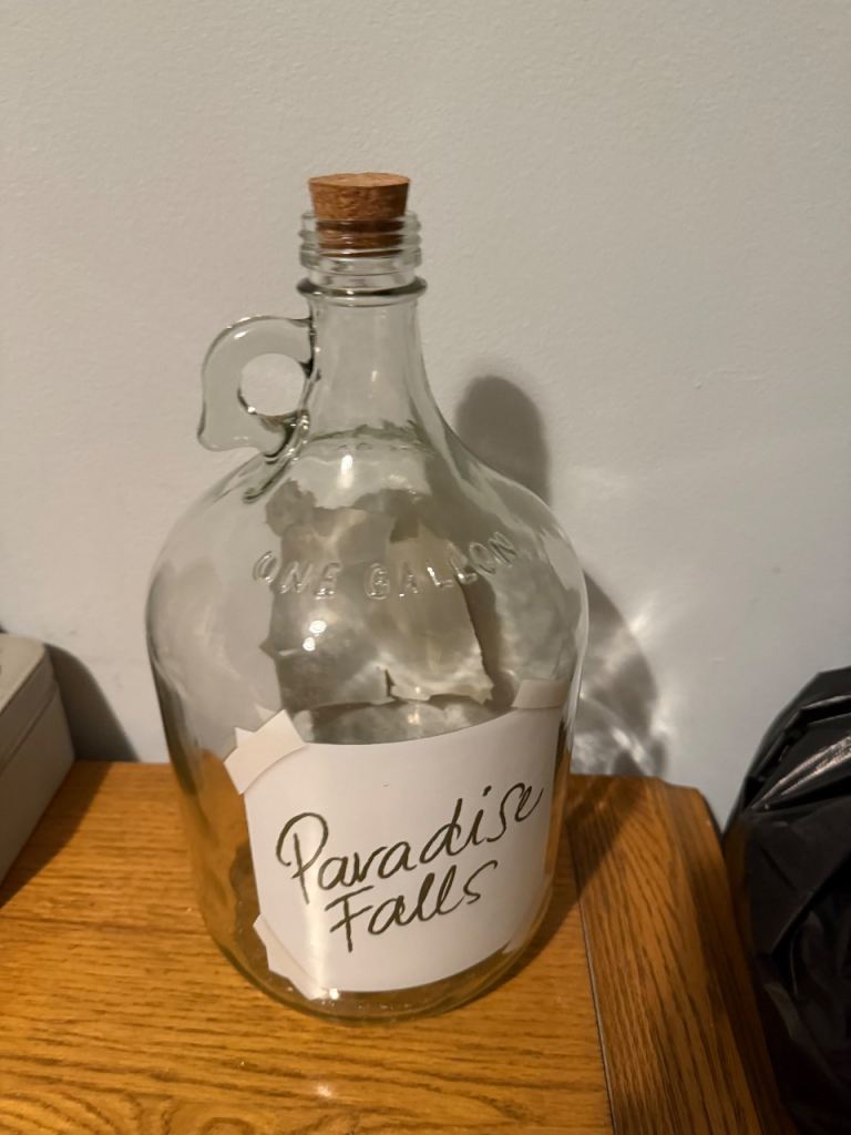 Disney Up Pixar money jar like new LOW price until 31 December only 