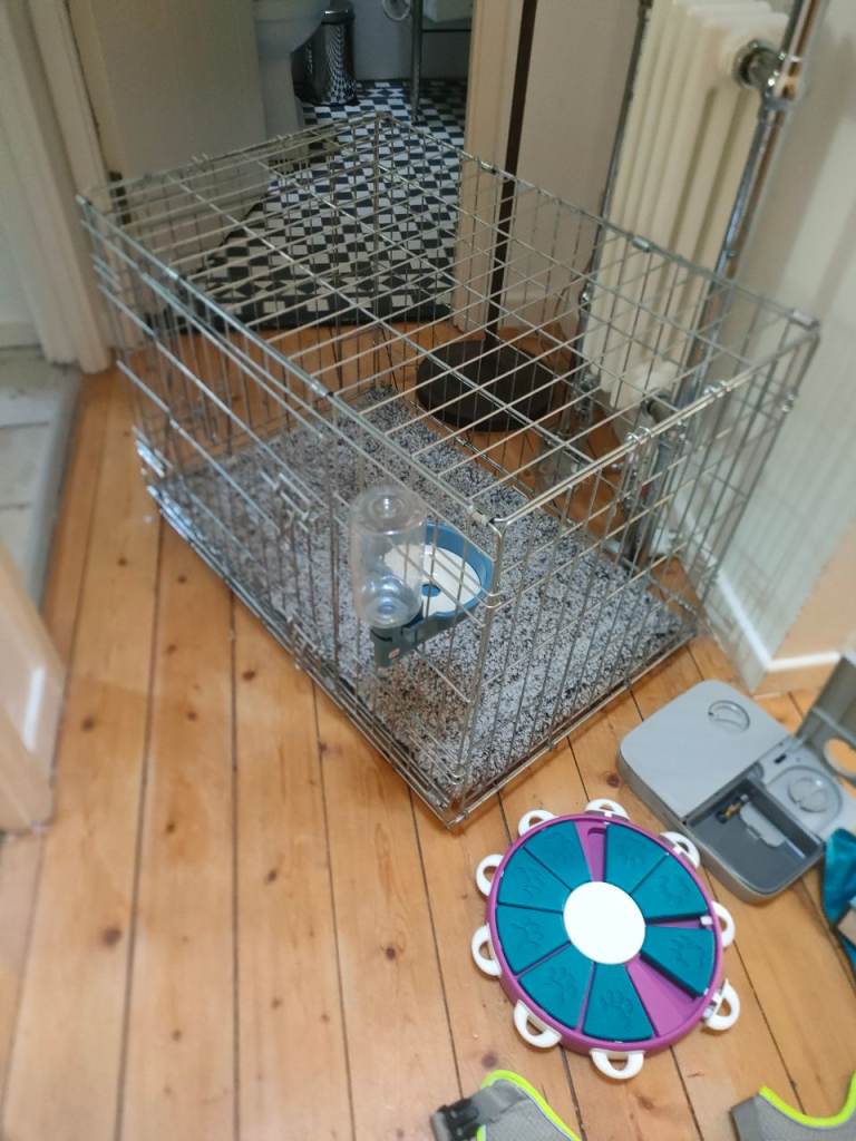 Cage ,bed and lots more 