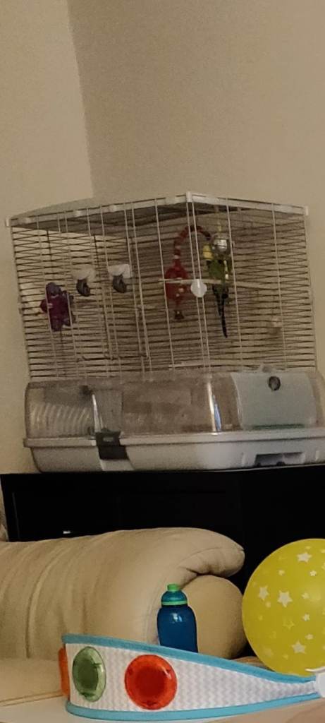 Vision m01/m02 bird cage and accessories pre loved