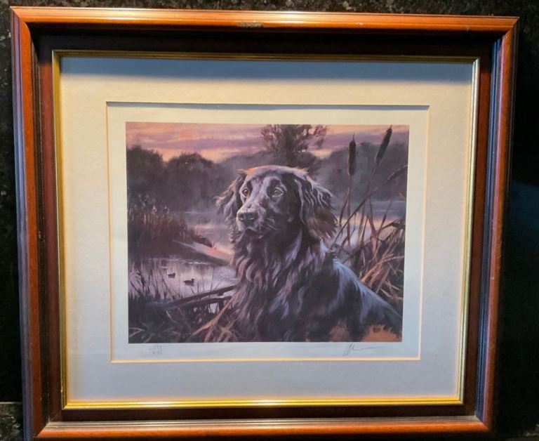 Rarely Available Limited Edition Print Mick Cawston (1959 - 2006)  - Flat Coat Retriever