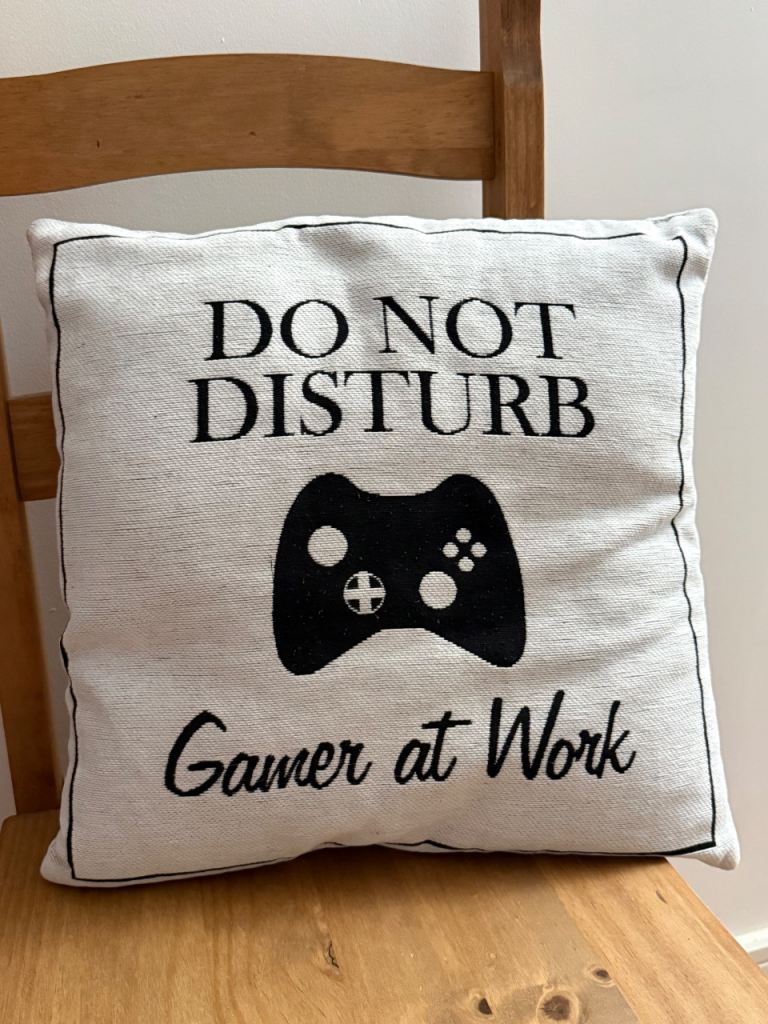 Gamer at Work Cushion – Good Condition