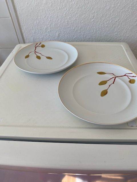 2 plates, Kyoto Spal, exquisite elegant understated Japanese design, 22cm, gold rims, twigs, fruit