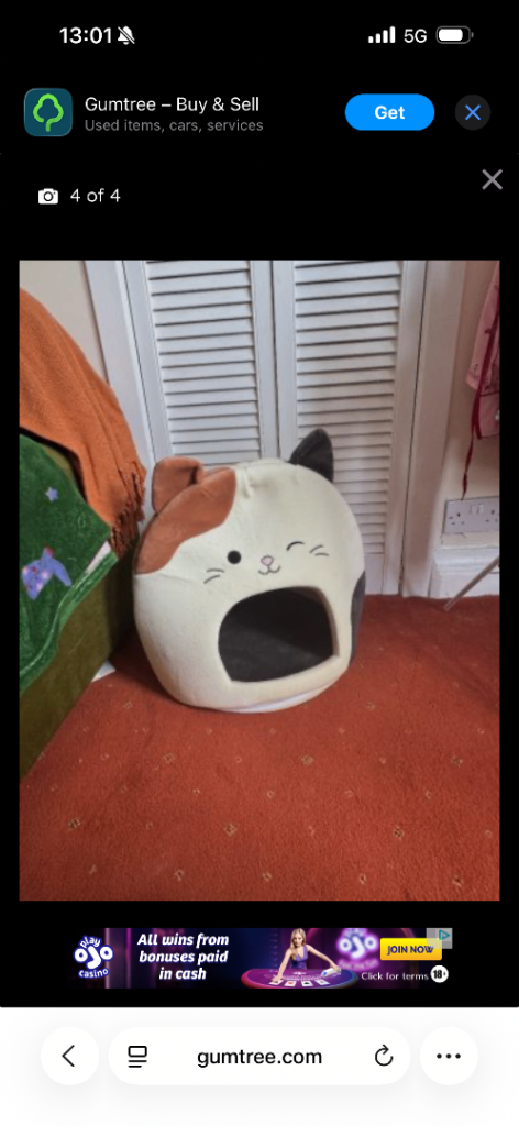 Free cat bed