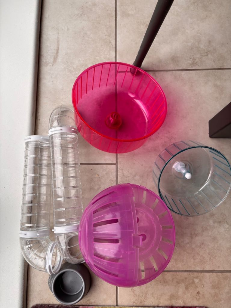 FREE Hamster or Small pet accessories