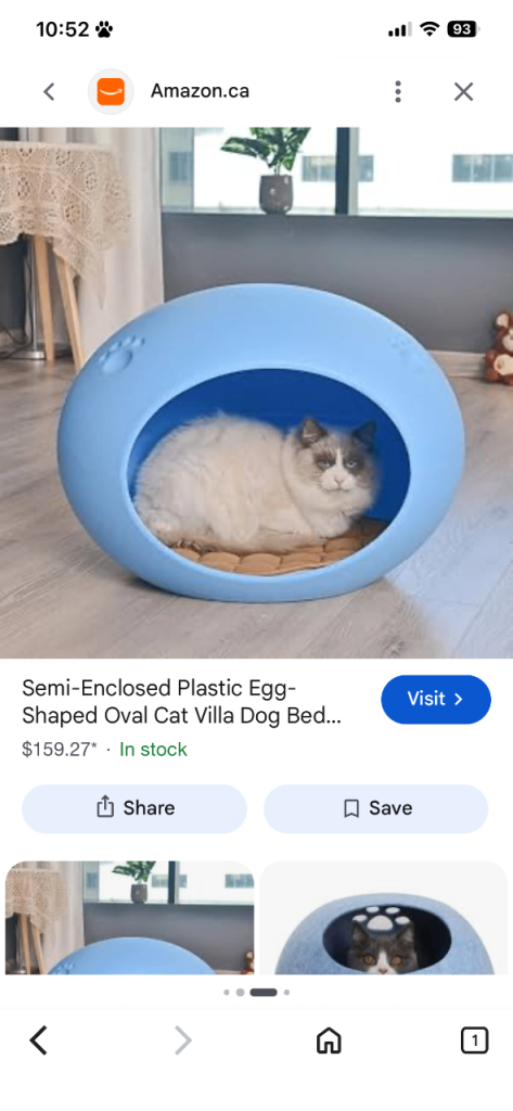 Pet Shelter 