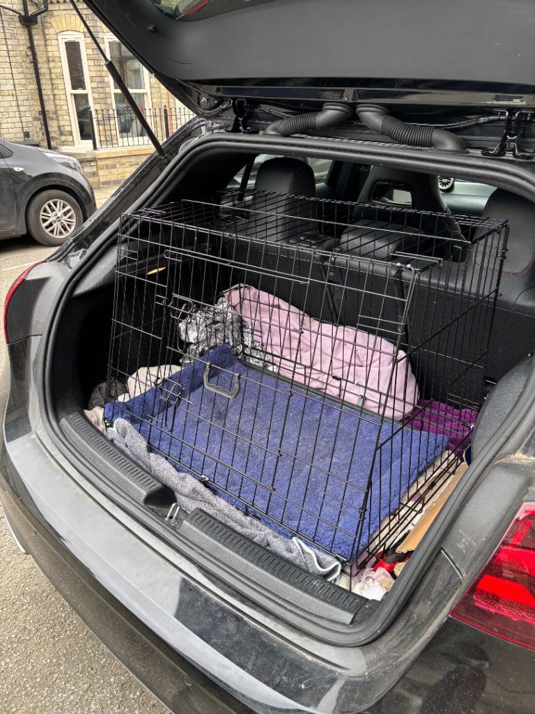 Dog car crate - hatchback