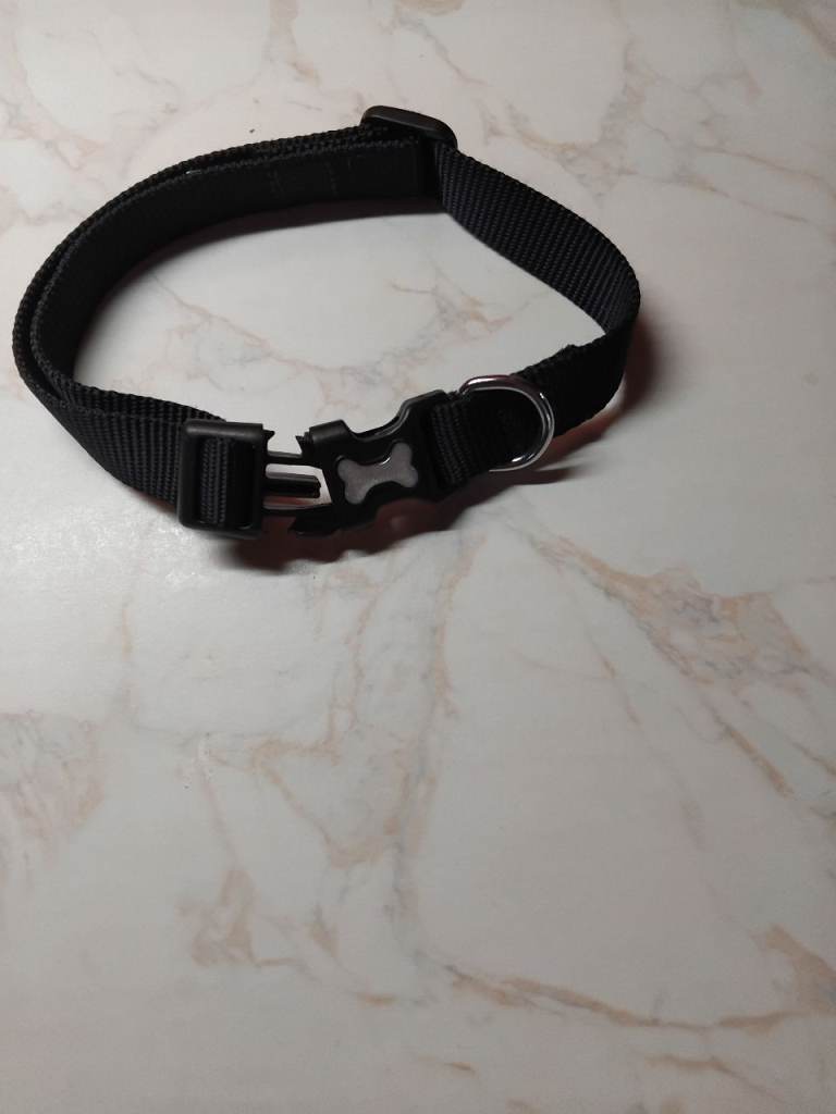 Dog collar 