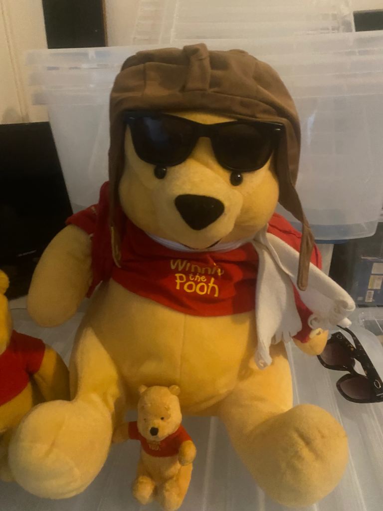 Winnie The Poo family 
