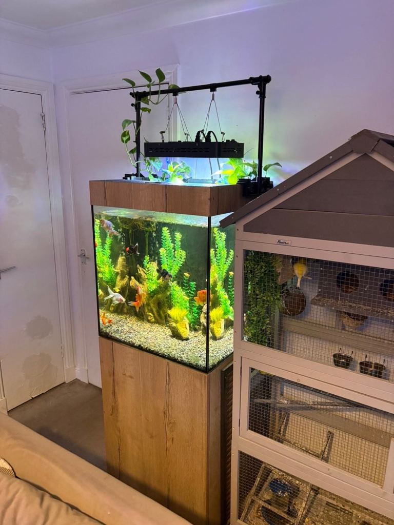 170 litre tank 