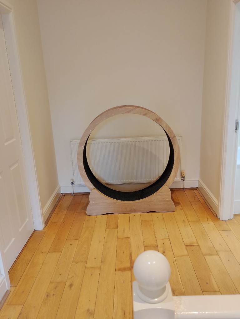Brand New And Boxed Up Cat Exercise/Running Wheel 