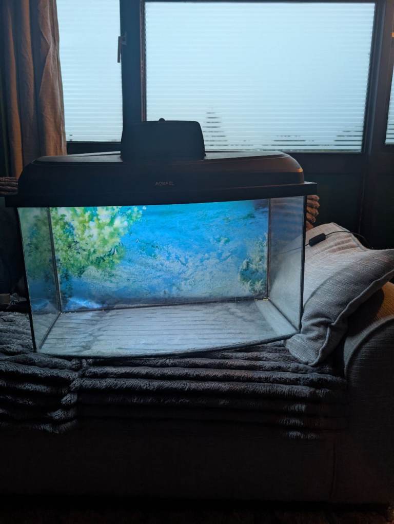 Fish tank 