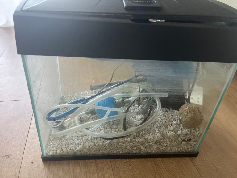 Small Glass Fish Tank with Lid and Gravel